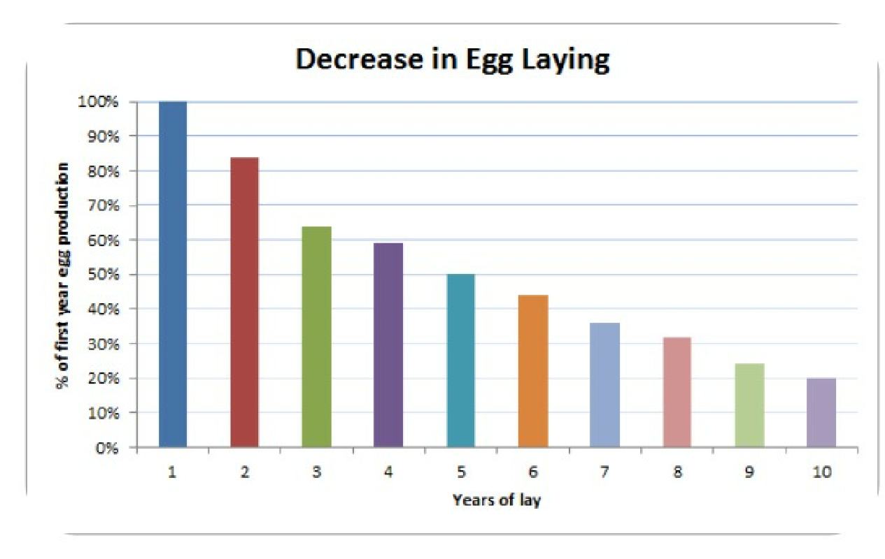 laying graph