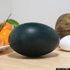 Emu egg 