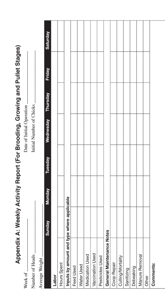 How to Keep Poultry Farm Record For Layers Poultry Farm Guide