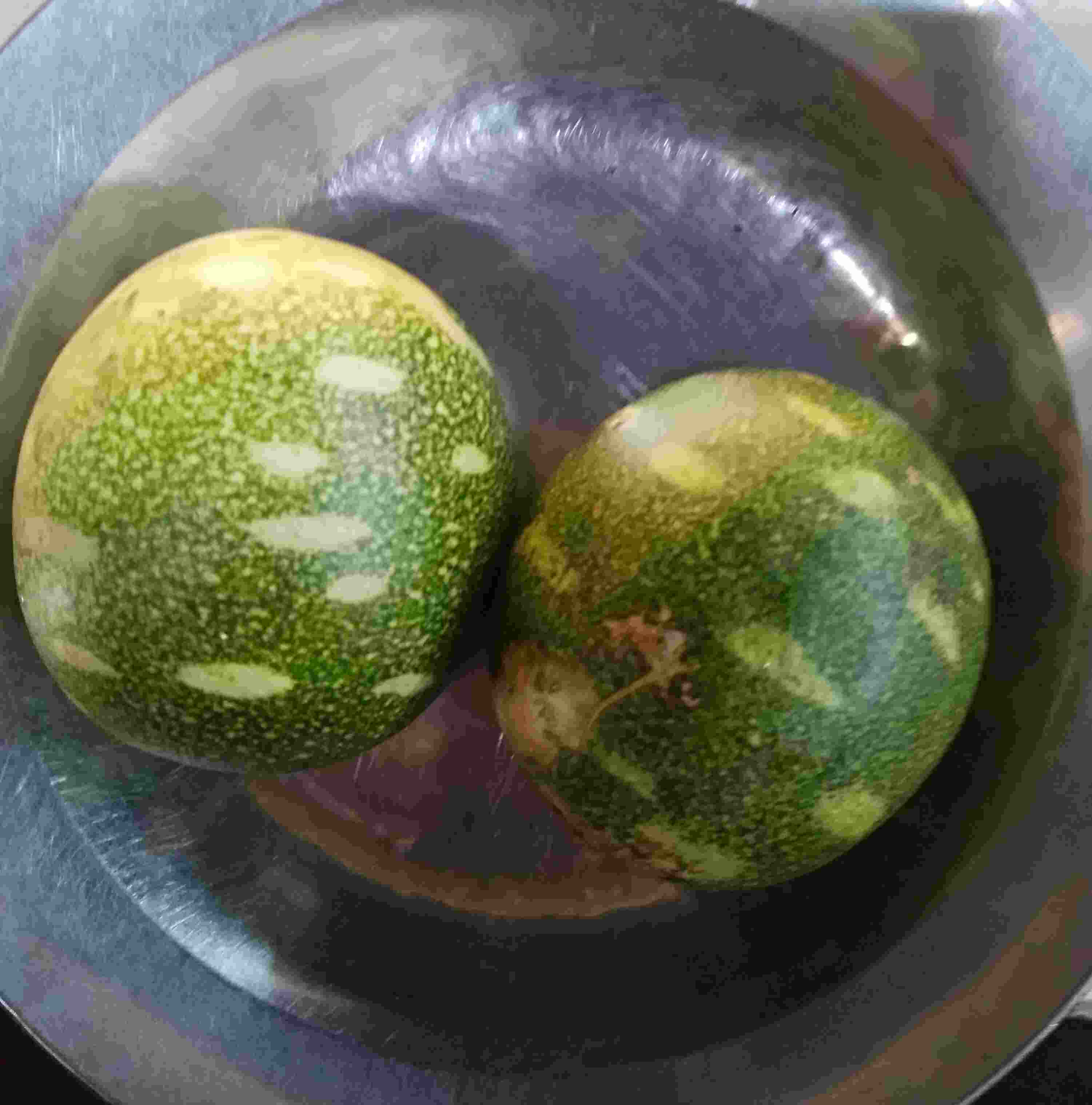 Tagiri fruit (Christmas melon