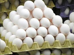 broiler eggs