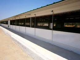 open sided poultry house