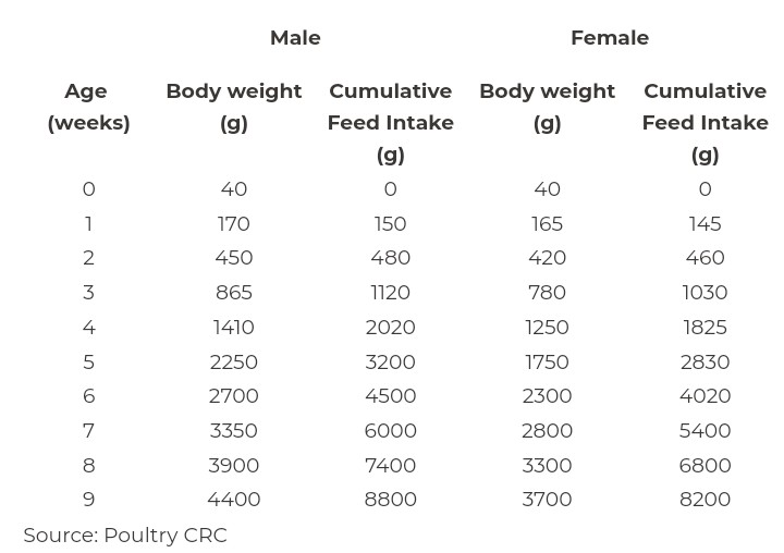 Expected weight of broiler