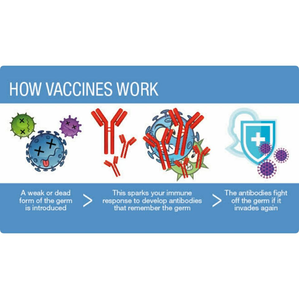 How vaccines work
