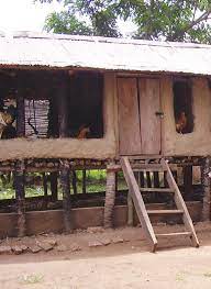 local chicken house