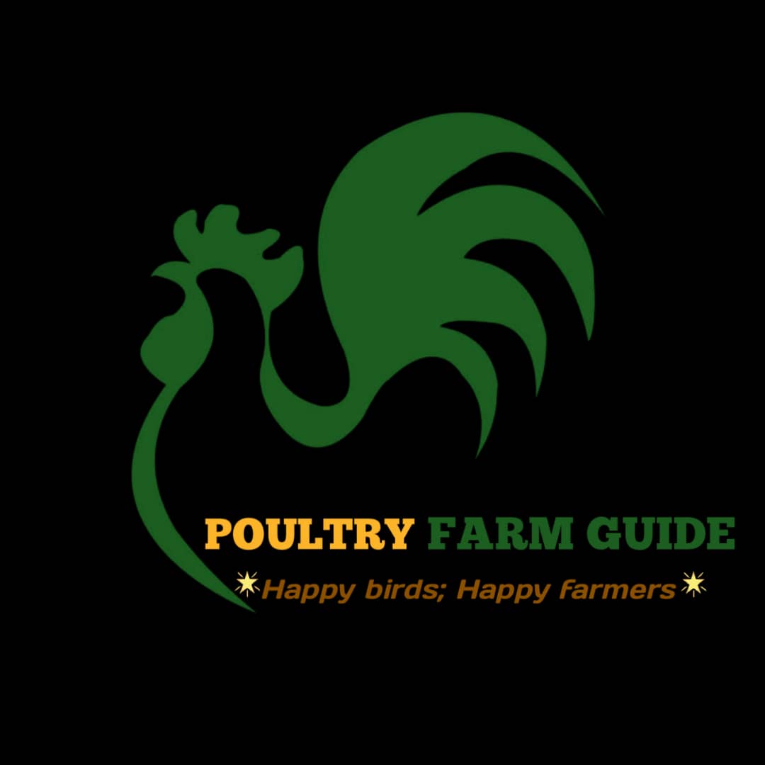 how-to-keep-poultry-farm-record-for-layers-poultry-farm-guide