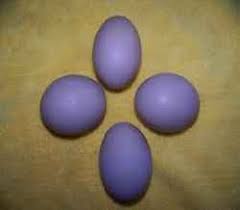 purple egg