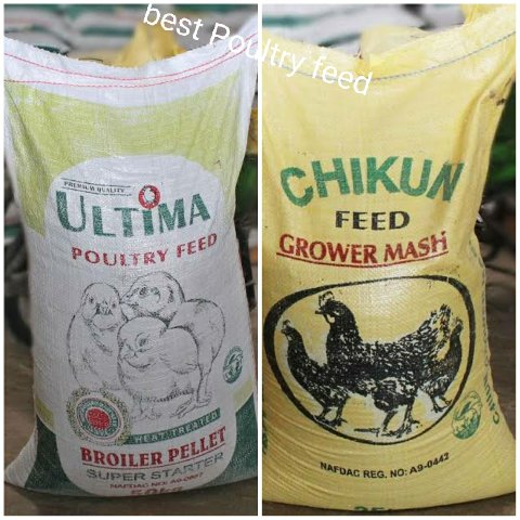 Ultima and Chikun poultry feed bags